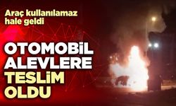 Otomobil alevlere teslim oldu