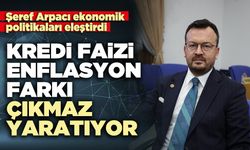 Şeref Arpacı: Kredi faizi-enflasyon farkı çıkmaz yaratıyor