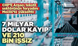 Arpacı: 7 Milyar dolar kayıp ve 210 bin işsiz