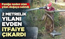 2 Metrelik yılanı evden itfaiye çıkardı