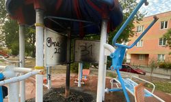 Parkta oynayan çocuklar oyuncağı ateşe verdi