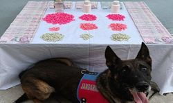 Denizli’de narkotik tacirlerine operasyon düzenlendi