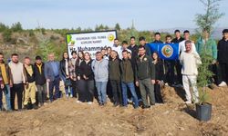 Buldan Müftülüğü hatıra ormanı oluşturdu