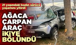 Ağaca çarpan araç ikiye bölündü