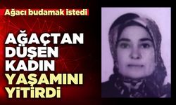 Ağaçtan düşen kadın yaşamını yitirdi