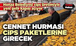 Cennet hurması cips paketlerine girecek