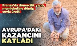 Memleketine dönüp ceviz üretti, Avrupa kazancını katladı