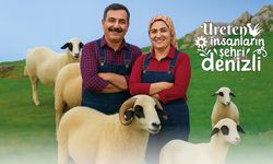 Denizli Büyükşehir’den koyun-koç desteği