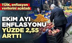 Ekim ayı enflasyonu yüzde 2,55 arttı