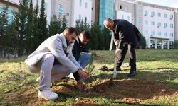 Rektör Güngör, Öğrencilerle Birlikte Fidan Dikti