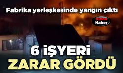 Fabrika yerleşkesinde yangın çıktı: 6 işyeri zarar gördü