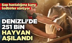 Denizli'de 251 bin hayvan aşılandı