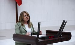 Gülizar Biçer Karaca'dan 2025 bütçesine sert eleştiri
