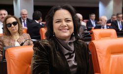 Milletvekili Nilgün Ök, 2026 Bütçesini değerlendirdi