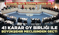 41 Karar oy birliği ile Büyükşehir Meclisinden geçti