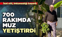 700 Rakımda muz yetiştirdi