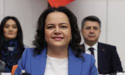 Nilgün Ök, Enerji Bakanlığı 2026 Bütçesini değerlendirdi