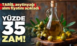 TARİŞ, zeytinyağı alım fiyatını açıkladı: Yüzde 35 zam: