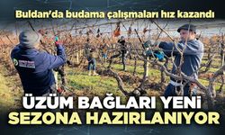 Üzüm bağları yeni sezona hazırlanıyor