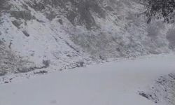 Yazın yanan orman sahası beyaza büründü