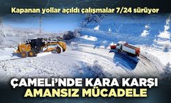 Çameli’nde kara karşı amansız mücadele