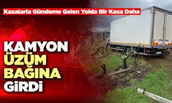 Kamyon Üzüm Bağına Girdi