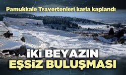 İki beyazın eşsiz buluşması