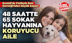 48 saatte 65 sokak hayvanına koruyucu aile