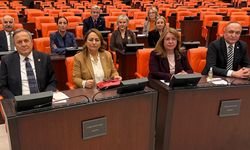 Gülizar Biçer Karaca: “Emeklilere reva mı?”