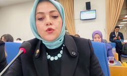 Milletvekili Ün kayıp 104 bin çocuğu sordu