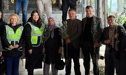 Beyağaç’ta zeytin fidanı dağıtımı gerçekleşti
