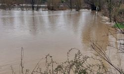 Denizli’de Yağış Nedeniyle Akçay Deresi Taştı