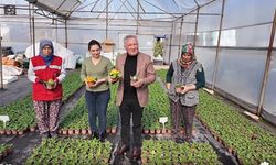 8 Mart'a 8 bin çiçek kadınlara dağıtılacak