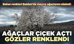 Ağaçlar çiçek açtı, gözler renklendi