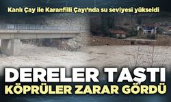 Dereler taştı köprüler zarar gördü
