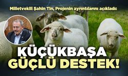 Milletvekili Şahin Tin, Projenin ayrıntılarını açıkladı: Küçükbaşa güçlü destek!
