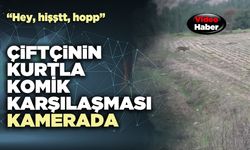 Çiftçinin kurtla komik karşılaşması kamerada