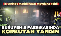 Kuruyemiş fabrikasında korkutan yangın