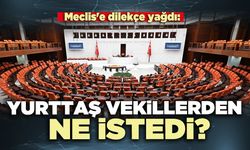 Meclis'e dilekçe yağdı: Yurttaş vekillerden ne istedi?