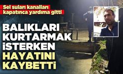 Balıkları kurtarmak isterken hayatını kaybetti