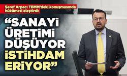 Şeref Arpacı: “Sanayi üretimi düşüyor, istihdam eriyor”
