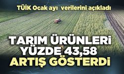 Tarım ürünleri yüzde 43,58 artış gösterdi