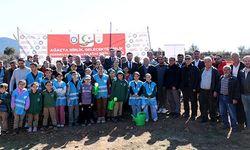 Tavas’ta “Ağaçta Birlik, Gelecekte Dirlik” Projesi başladı