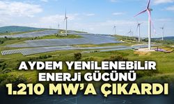 Aydem yenilenebilir enerji gücünü 1.210 MW’a çıkardı