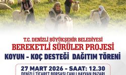 Denizli Büyükşehir 582 Üreticiye 1200 Adet Koyun-Koç Dağıtacak