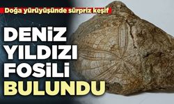 Baklan’da deniz yıldızı fosili bulundu