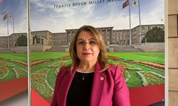 Biçer Karaca’dan Denizli’nin Su Sorunu İçin Meclis Araştırması Önergesi