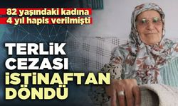 Terlik cezası istinaftan döndü