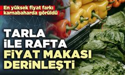 Tarla ile rafta fiyat makası derinleşti