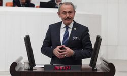 Şahin Tin: “Enerji Arzında Türkiye Güçlü Bir Altyapıya Sahip”